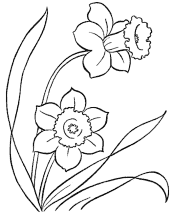 nature coloring pages