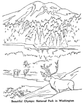 Olympic National Park coloring pages
